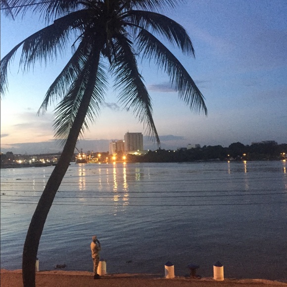 Meet your Posher, Trixie - Picture 3 of 6